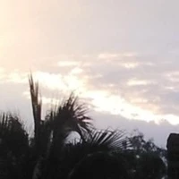 t/g yêu đời
