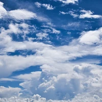 Tg bị buồn ngủ