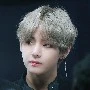 V -anh