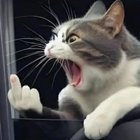 Tác giả ly ly
