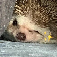 tổng đ(t)ài đời em