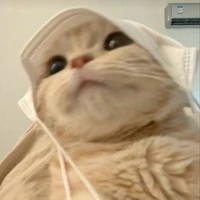 Phước Thịnh ᝰ.ᐟ @jaysonlei