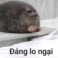 Bạn thân tác giả [[ Seal ]]