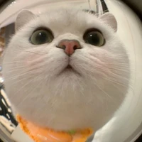 Nhỏ T/g