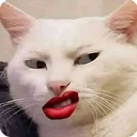 bn t/g 🐱(siêu béo)