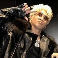 Nguyễn Lê Minh Huy_HUSTLANG Robber