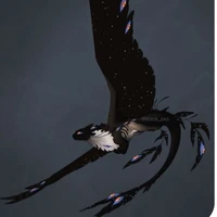 Hệ thống 246 / Hắc Dạ 