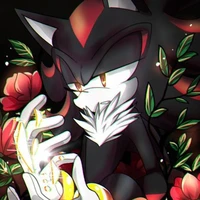 Shadow