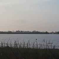 Đệ tử=))