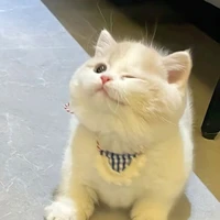 Bống Bống- Nó -