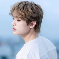 Bùi Trường Linh[BuitruongLinh]