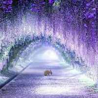 tất cả, trừ ai