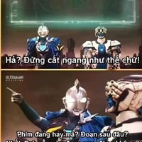 Tất cả nvật