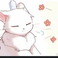 tobirama ( dạng mèo  )