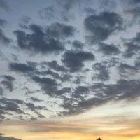 con t/g ghét bị toxic._★