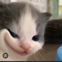 Như