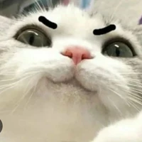 Nhi