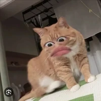 thg khùng