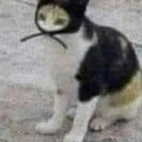 t/g nghèo nghèo
