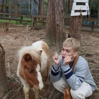 Lương Hoàng Phúc - Fish