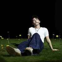 Huỳnh hoàng hùng ( gemin hh)