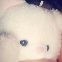 hệ thống ( Andrey dream)