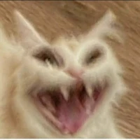 Cân mọi nhân vật