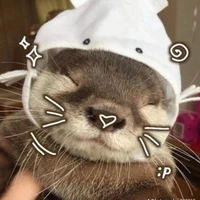 Tác giả thích Freenbeck