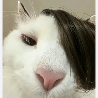 Anh phục vụ đệp trai ( Cẩm Tú)