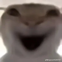 lào gì cũng tôn