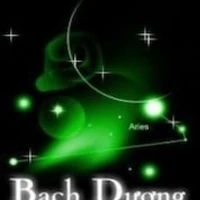 aries(bạch Dương♈)