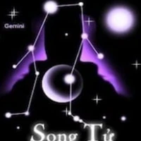 Gemini(song tử♊)