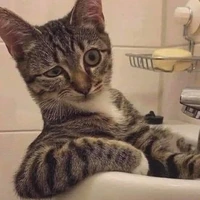 💅hệ thống slay💅