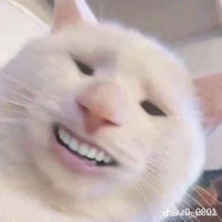 best Friend tác giả