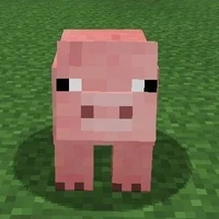 con Lợn (pet của red.)