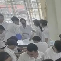 cả lớp