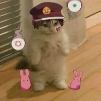 t/g rảnh rỗi sinh nông nổi