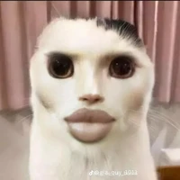 t/g