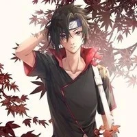uchiha hatake charato