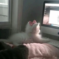 tg ctii