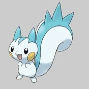Pachirisu ( Hansuki )