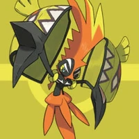 Kapu Koko ( Satoshi )