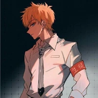 minamoto teru