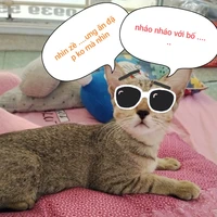 chị tác giả nek:)