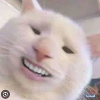 Cả hai ( t/g và kira)