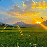 cả lớp