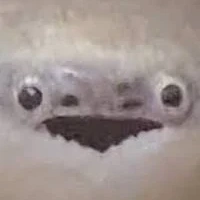 Telamon(avatar để tạm)