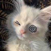 hệ thống 163-hope