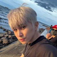 Lê Hồng Sơn