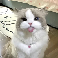 ???